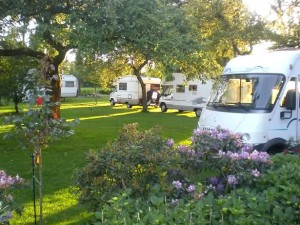 Camperplaats rododentdrons
