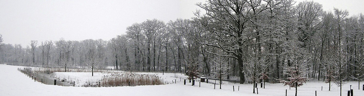 sneeuw1