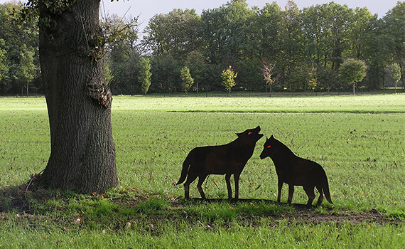 wolven
